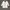 Streetwear Minimalist Puffer jacket Pria green photo 5