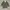 Streetwear Minimalist Puffer jacket Pria green photo 1