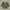 Streetwear Minimalist Puffer Jacket Pria Green