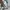 GAP Casual Sweater Pria multicolor photo 4