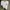 Stussy Streetwear Y2K T-shirt Pria white photo 1