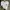 Stussy Streetwear Y2K T-shirt Pria White