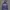 Polham Vintage Streetwear Hoody Pria Navy