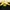 Ellesse Casual Casual shirt Pria black yellow photo 5