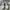 Adidas Casual Sneakers Pria white black photo 2