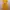 Japanese brand Luxury Going out dress Wanita yellow photo 1