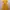 Japanese Brand Luxury Going Out Dress Wanita Yellow