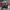 Nike Vintage Y2K Windbreaker Pria white red photo 1