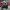 Nike Vintage Y2K Windbreaker Pria White Red