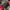 Nike Vintage Y2K Windbreaker Pria white red photo 5
