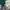 Nike Vintage Y2K Windbreaker Pria white green photo 7