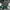 Nike Vintage Y2K Windbreaker Pria white green photo 2