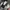 Nike Vintage Y2K Windbreaker Pria white black photo 6