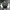 Nike Vintage Y2K Windbreaker Pria white black photo 7