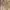 Golden Goose Luxury Minimalist Jumper Pria tan brown photo 4