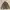 Golden Goose Luxury Minimalist Jumper Pria tan brown photo 1