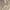 Golden Goose Luxury Minimalist Jumper Pria tan brown photo 3