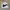 Nike Vintage Y2K Windbreaker Pria white black photo 1