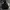 The North Face Vintage Y2K Track jacket Pria black photo 2