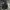 The North Face Vintage Y2K Track jacket Pria black photo 1