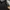 The North Face Vintage Y2K Track jacket Pria black photo 4