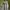 Topten Vintage Sweater Pria white photo 1