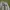 Topten Vintage Sweater Pria white photo 2