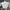 Yonex Vintage Y2K Windbreaker Pria white black photo 5