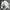 Yonex Vintage Y2K Windbreaker Pria white black photo 2