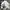 Yonex Vintage Y2K Windbreaker Pria White Black
