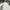 Yonex Vintage Y2K Windbreaker Pria white black photo 3