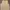 VANS Casual Vest Pria tan photo 1