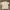 Ben Davis Biker Casual Sweatshirt Pria white photo 1