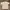 Ben Davis Biker Casual Sweatshirt Pria White