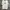 Adidas Y2K Casual T-shirt Pria White