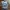 Y2K Grunge Crop top Wanita multicolor photo 1