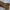 ZARA Casual Sneakers Kids tan photo 4