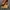 Timberland Y2K Boots Pria yellow photo 1