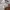 Beams Streetwear Casual Sweater Pria gray photo 6