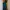 Sportswear Casual Harrington jacket Pria green photo 5