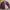 Vintage Y2K Windbreaker Pria burgundy photo 2
