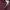 Vintage Y2K Windbreaker Pria burgundy photo 7