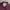 Vintage Y2K Windbreaker Pria burgundy photo 4
