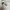 Adidas Casual Bomber jacket Pria white photo 7