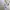Adidas Casual Bomber jacket Pria white photo 5