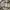 Japanese brand Casual Casual shirt Pria multicolor green photo 3