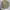 Japanese brand Casual Casual shirt Pria multicolor green photo 1