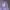 have a good time Streetwear Hoody Pria purple photo 1