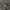 Carhartt Streetwear Hoody Pria gray photo 6