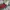 Patagonia Y2K Casual Casual shirt Pria red gray photo 6